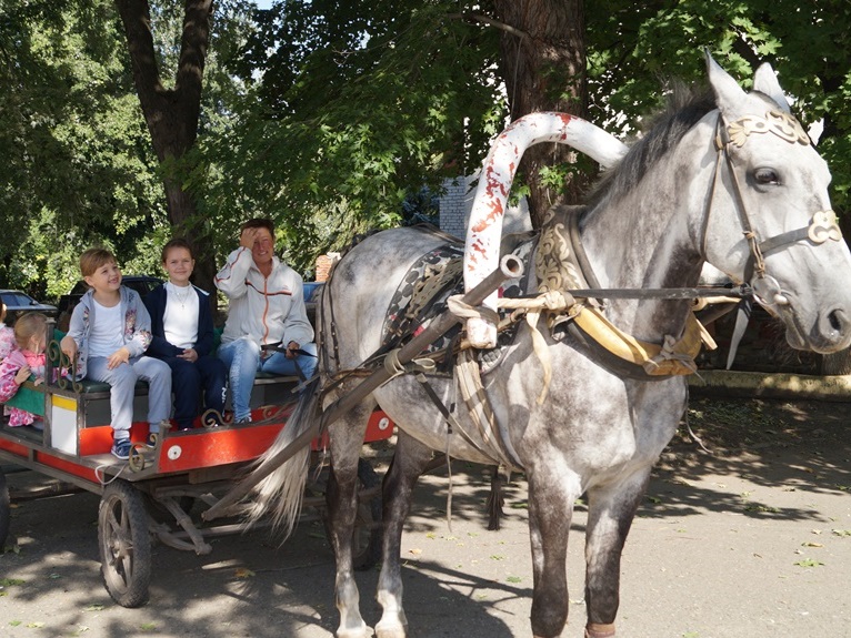 «С Днем Рождения, любимый город!».